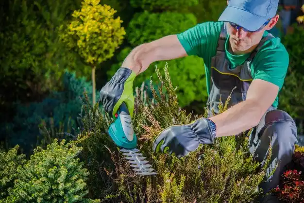 landscaping services Terryville